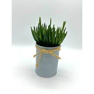 Hobby Lobby‎ Faux Potted Houseplant NEW